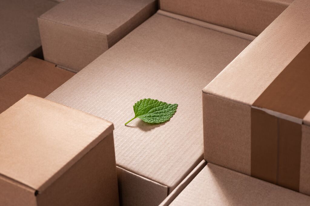 The Importance of Sustainable Packaging Solutions